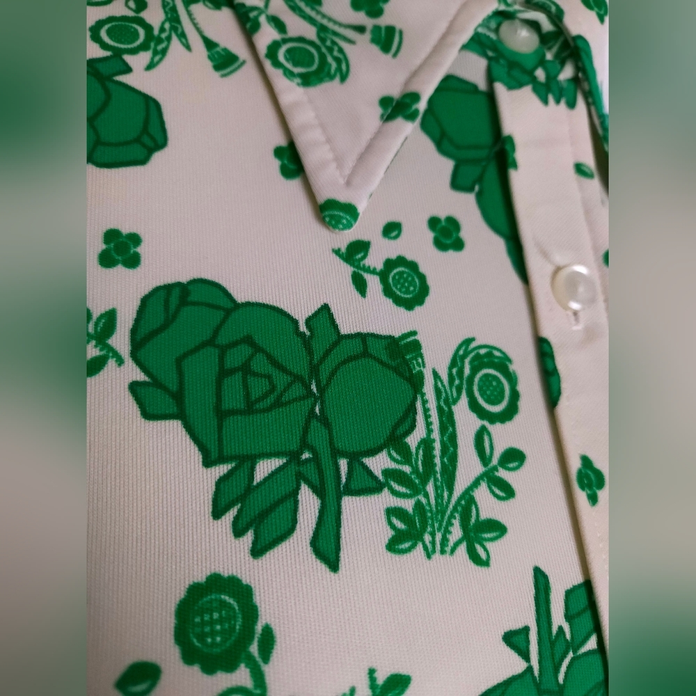 Alex Colman California Vintage 70s Point Collar Flowy Top Green Cream Small - Picture 3 of 16